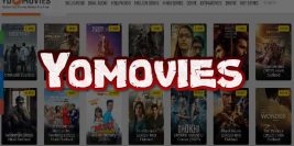 Yomovies 2023 – Download Bollywood, Hollywood Movies and Series – Facts