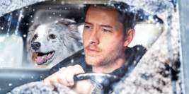 The Noel Diary 2 Release Date,  Cast, Plot,Storyline, Trailer, and More